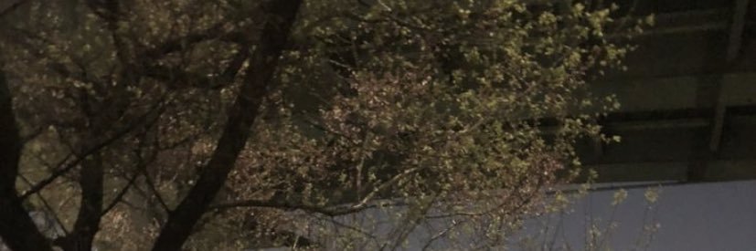 cimoriee's profile banner image