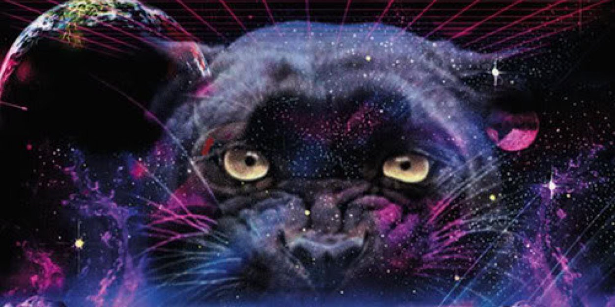 Talking Pink Monkey banner