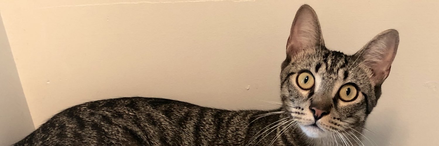 ejbecks16's profile banner image