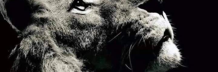 jimsr357's profile banner image