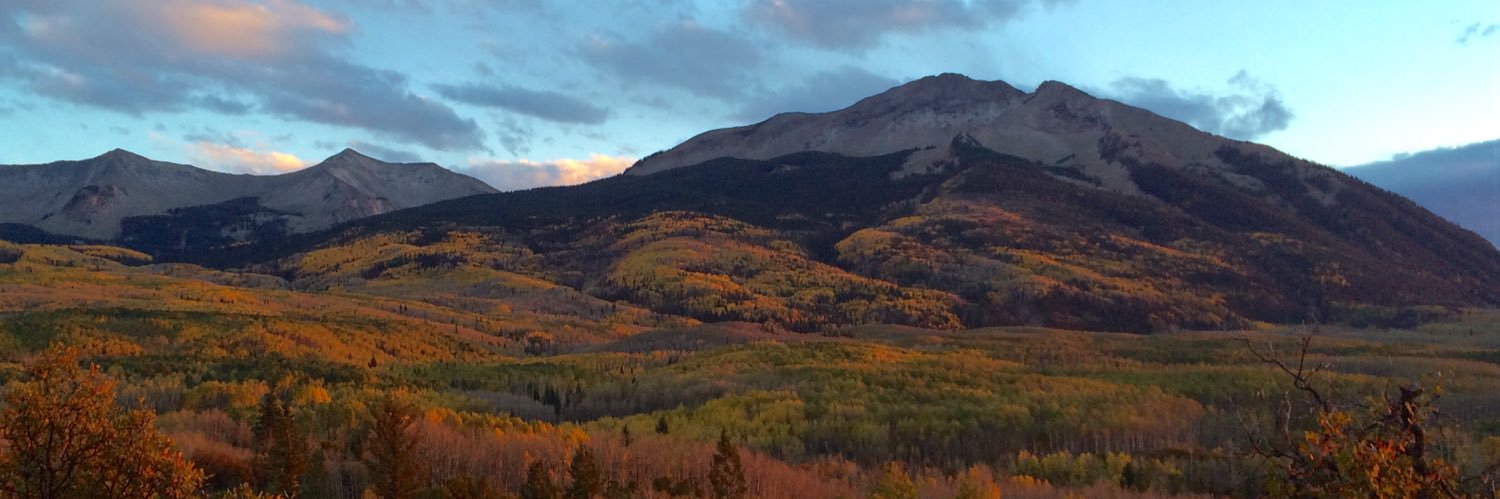 Marissa Tidwell banner