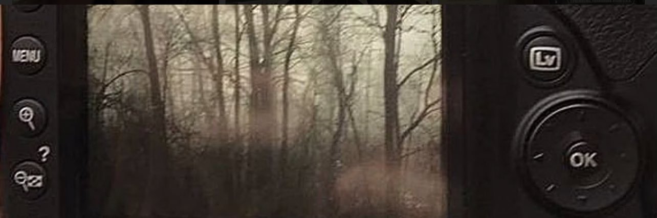 FlLTERKOOK's profile banner image