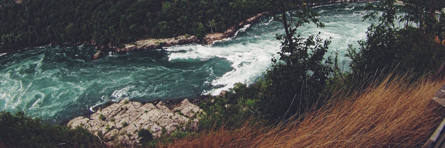 caroline_roy18's profile banner image