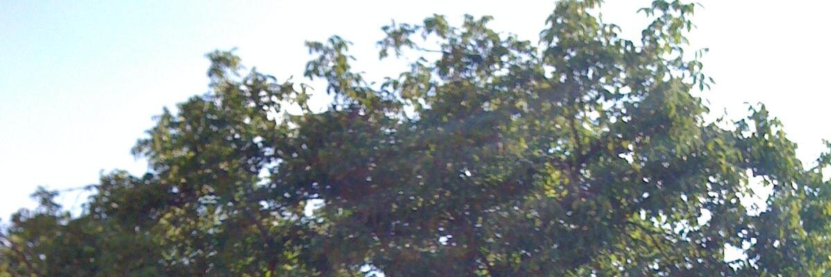 alex3088's profile banner image