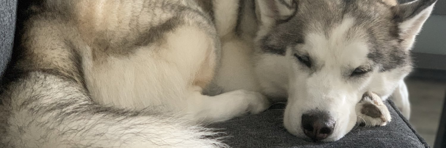 tweedelydee14's profile banner image