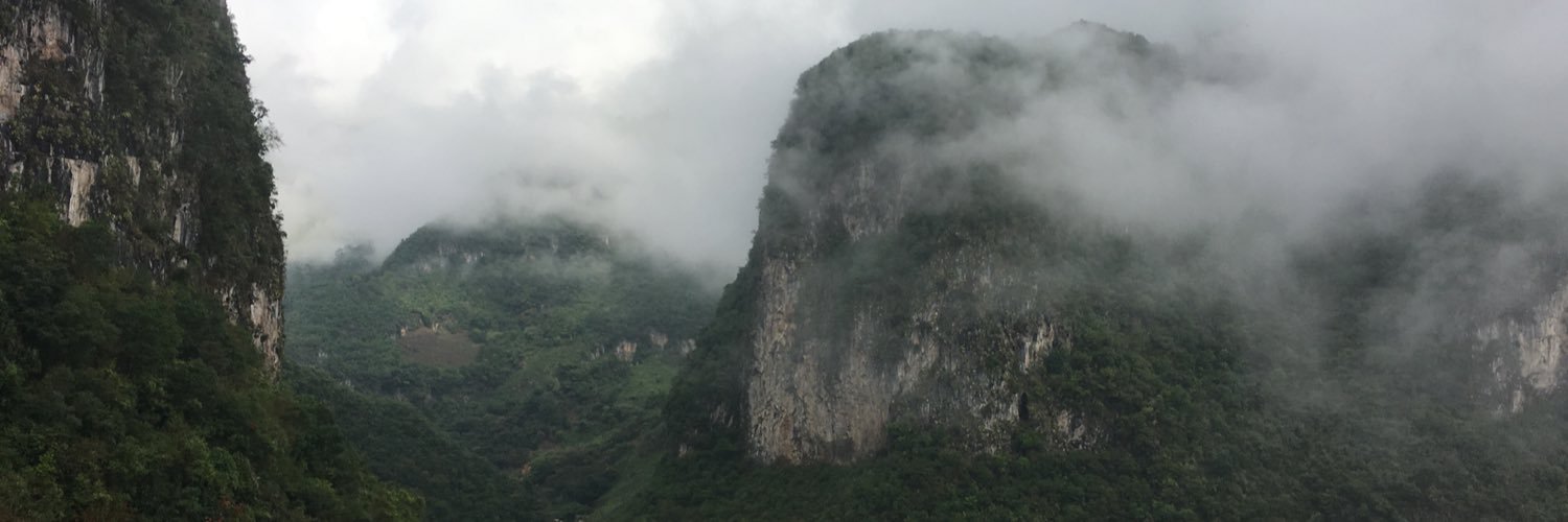 ciudadanooaxaca's profile banner image