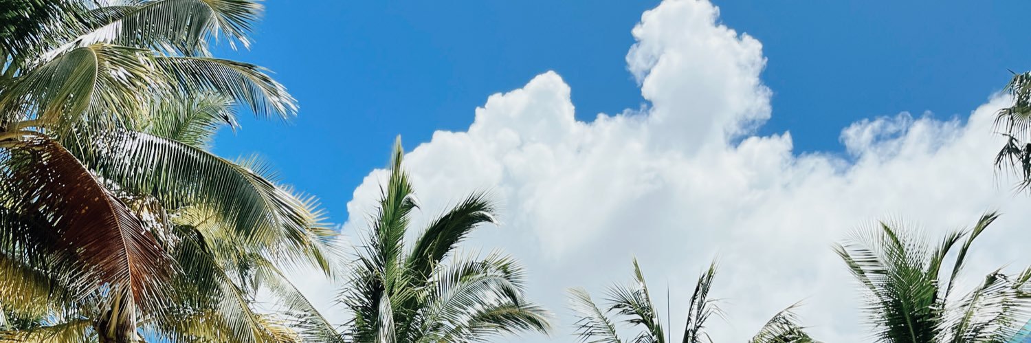 karelymeg's profile banner image