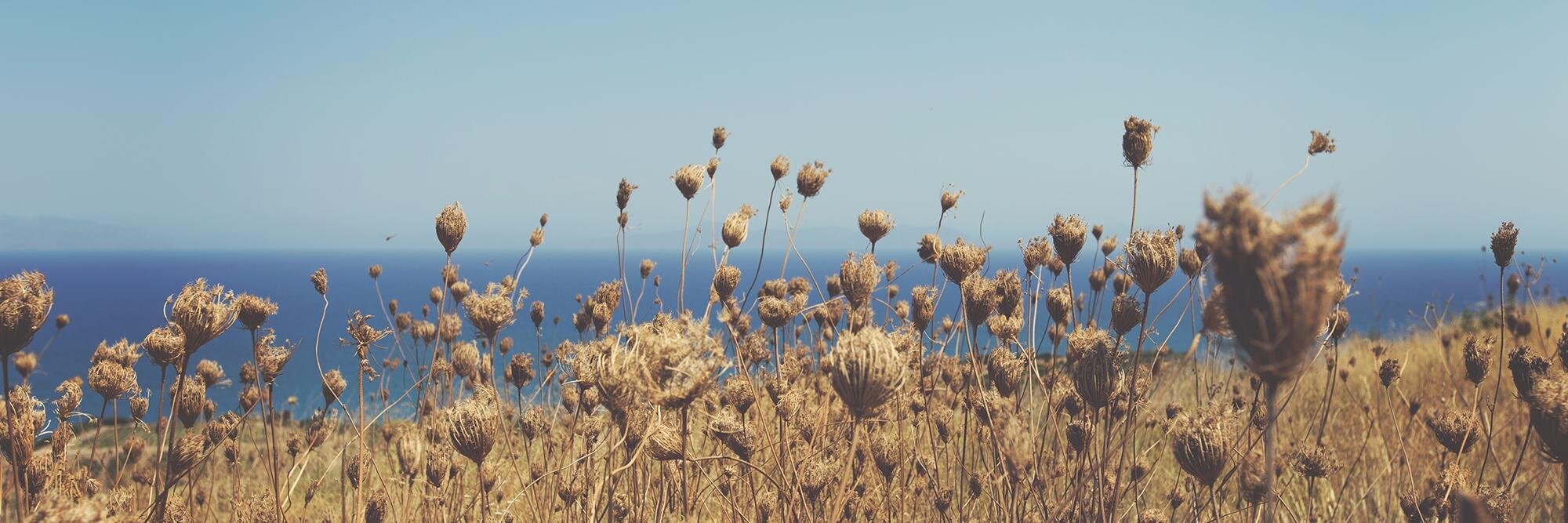 marileo027's profile banner image