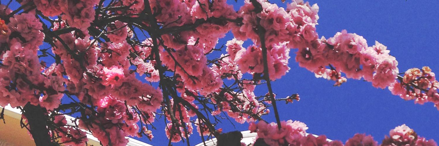 Mint_Boy5's profile banner image