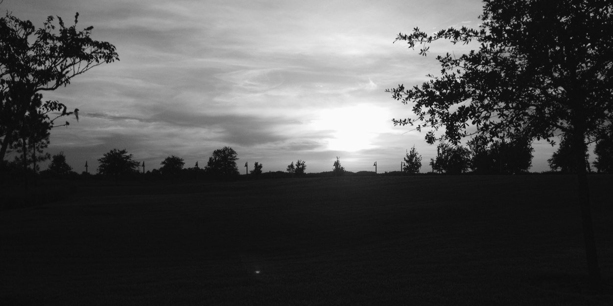 willamiagdr's profile banner image