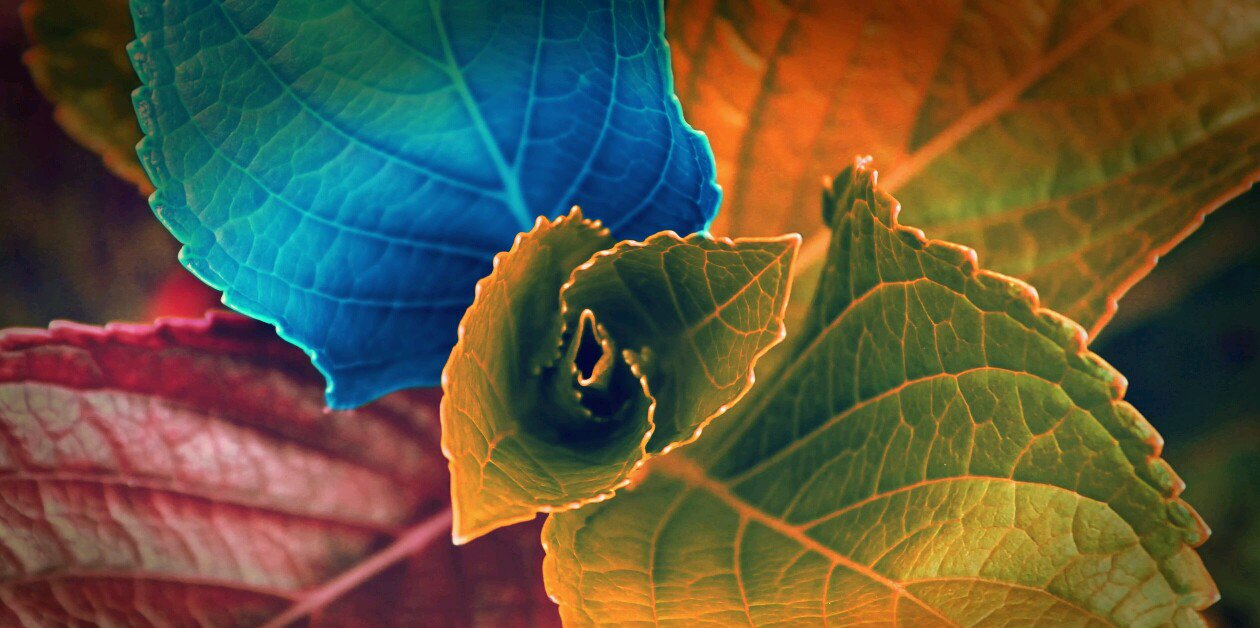 Max_Kreo's profile banner image