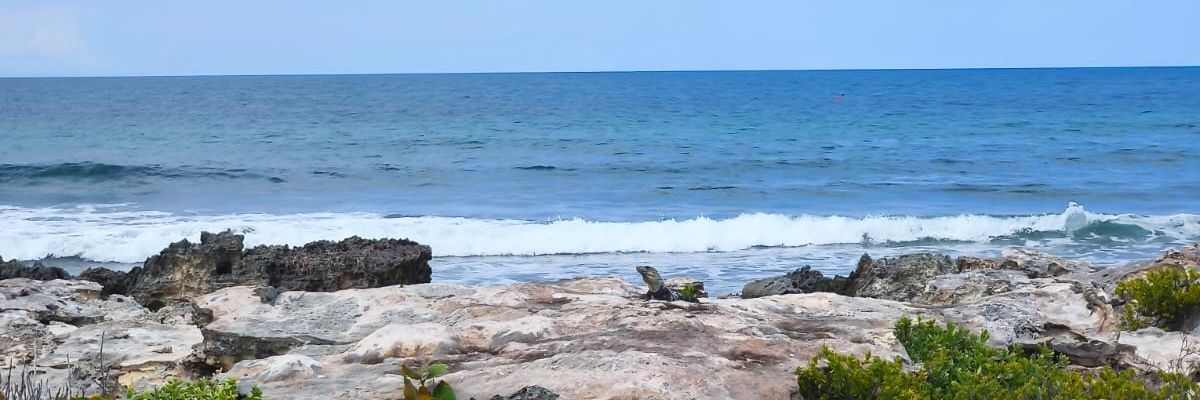 ClaribelIgnacio's profile banner image