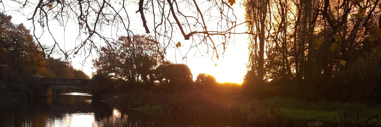 SunnyFalzoni's profile banner image