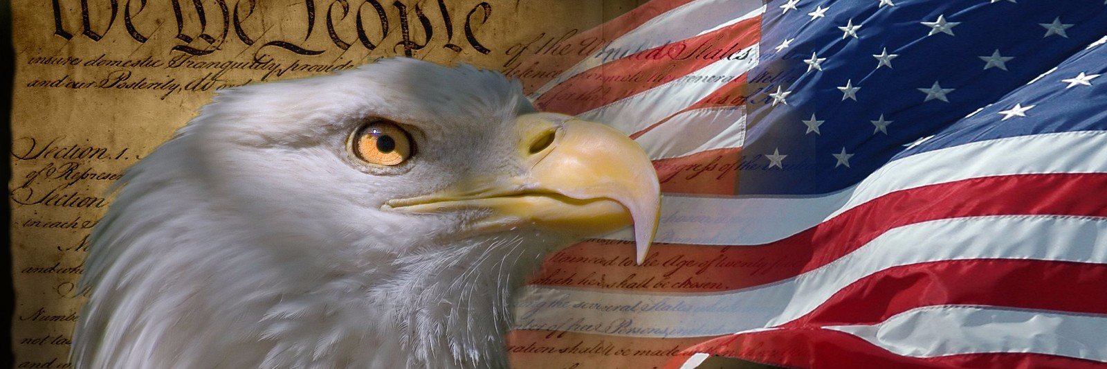 SometimesImhere's profile banner image