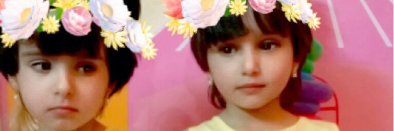 صفوق الشمري banner