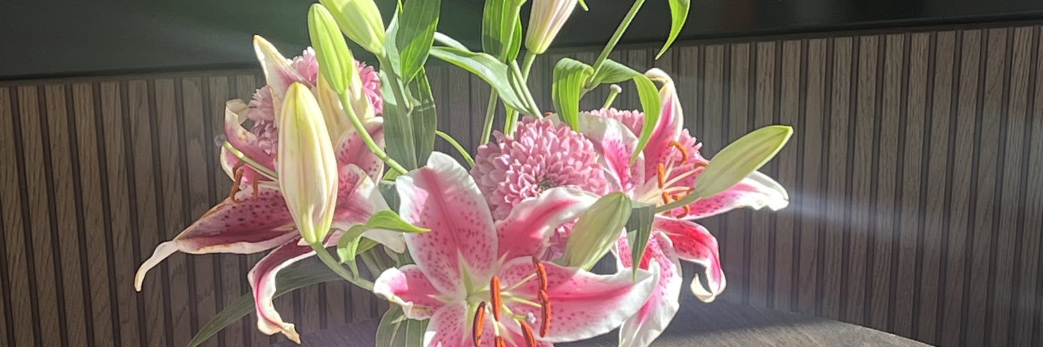 yagrlri's profile banner image