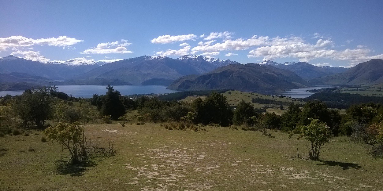 Stephen Gilbert banner