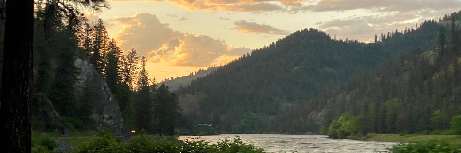 melanieberreth's profile banner image