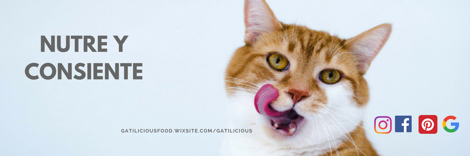 GatiLicious_'s profile banner image
