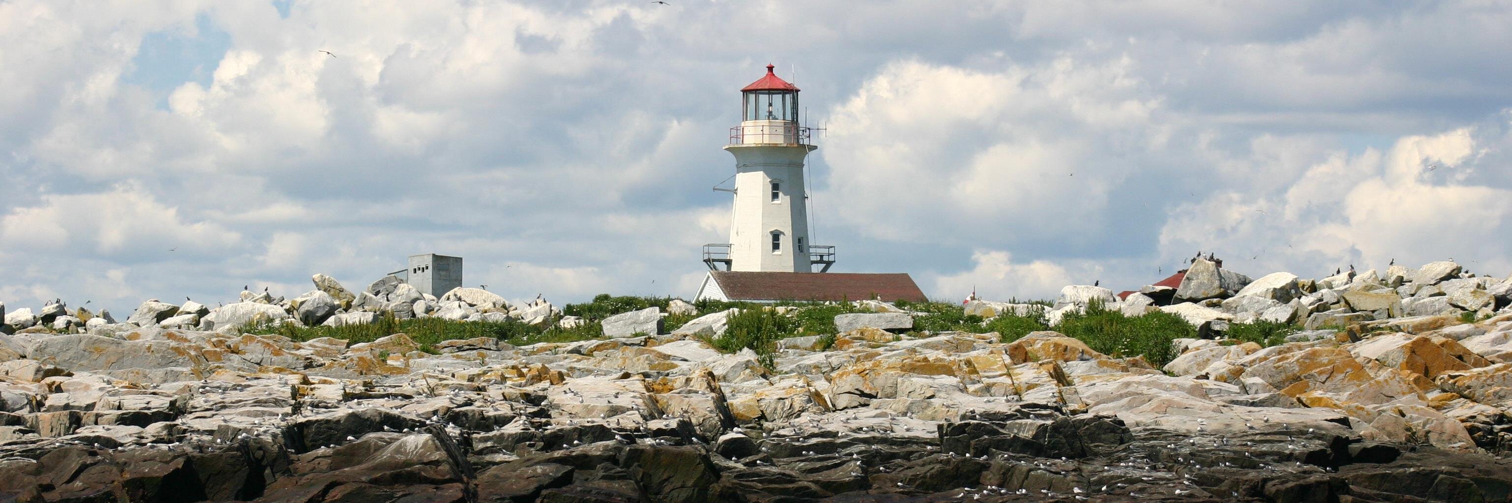 Seawatchtours's profile banner image