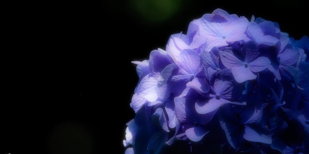 tera_5's profile banner image