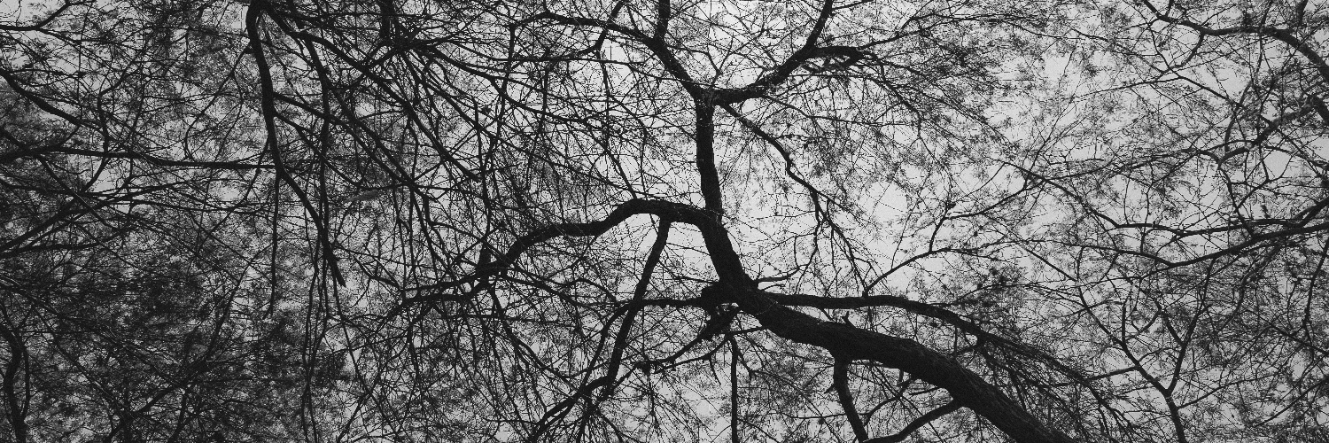 アレクサンドル・ジュカ banner