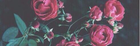 Cait Alexander banner