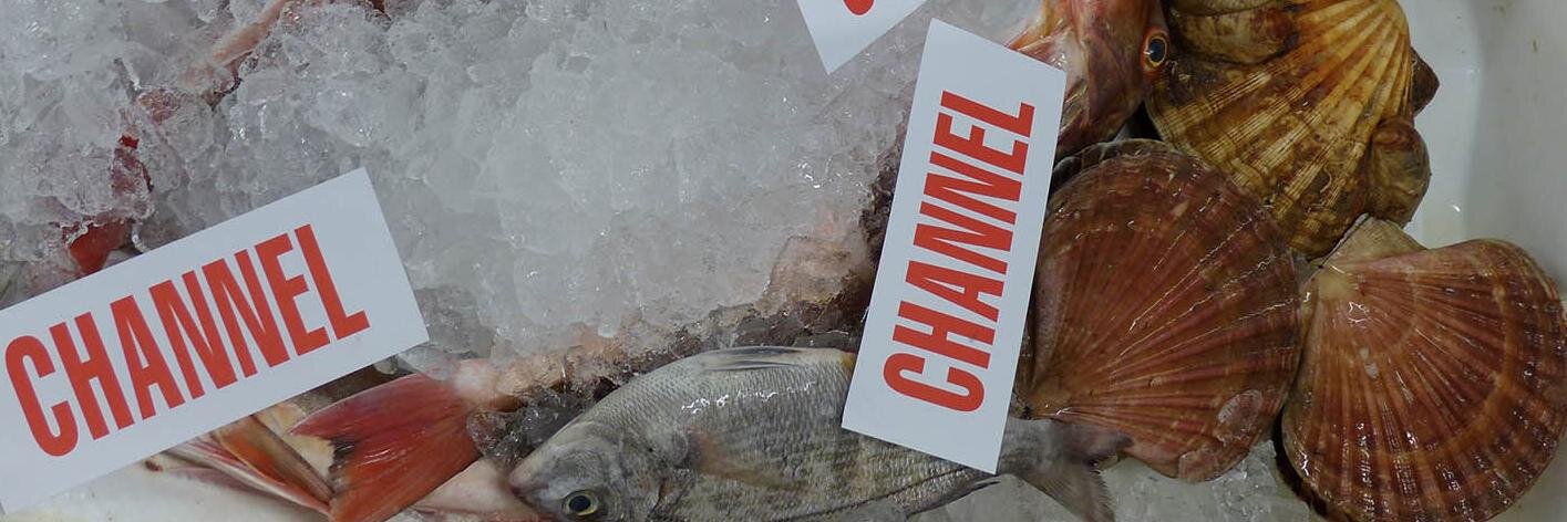channelfish1981's profile banner image