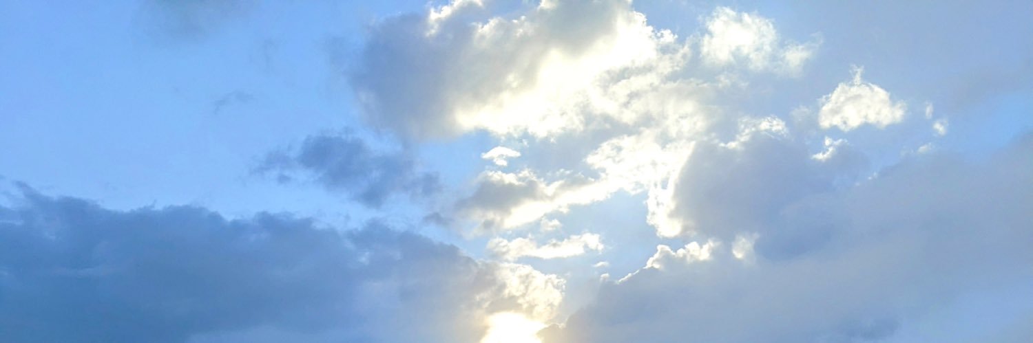 NachoMum banner