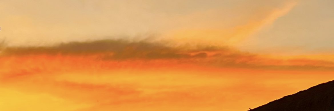 connycaree's profile banner image