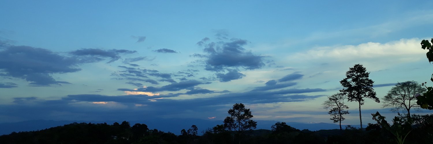 leidy1799's profile banner image