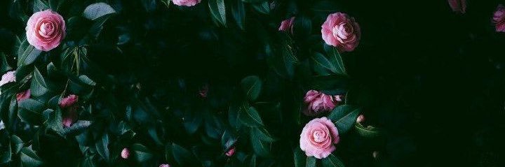HsnNeda's profile banner image