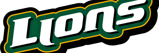 SLU Baseball Camp banner