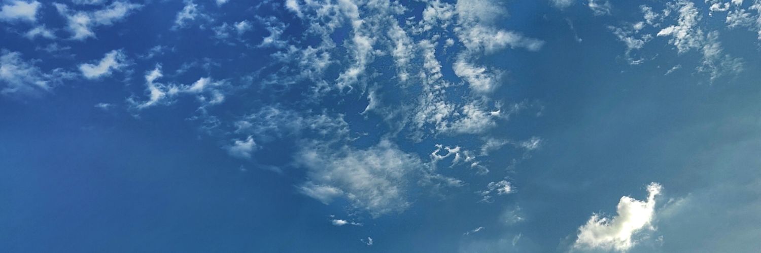 ay banner