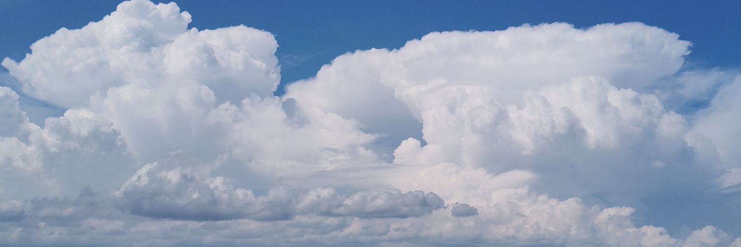 Don'tgivemenoLippe banner