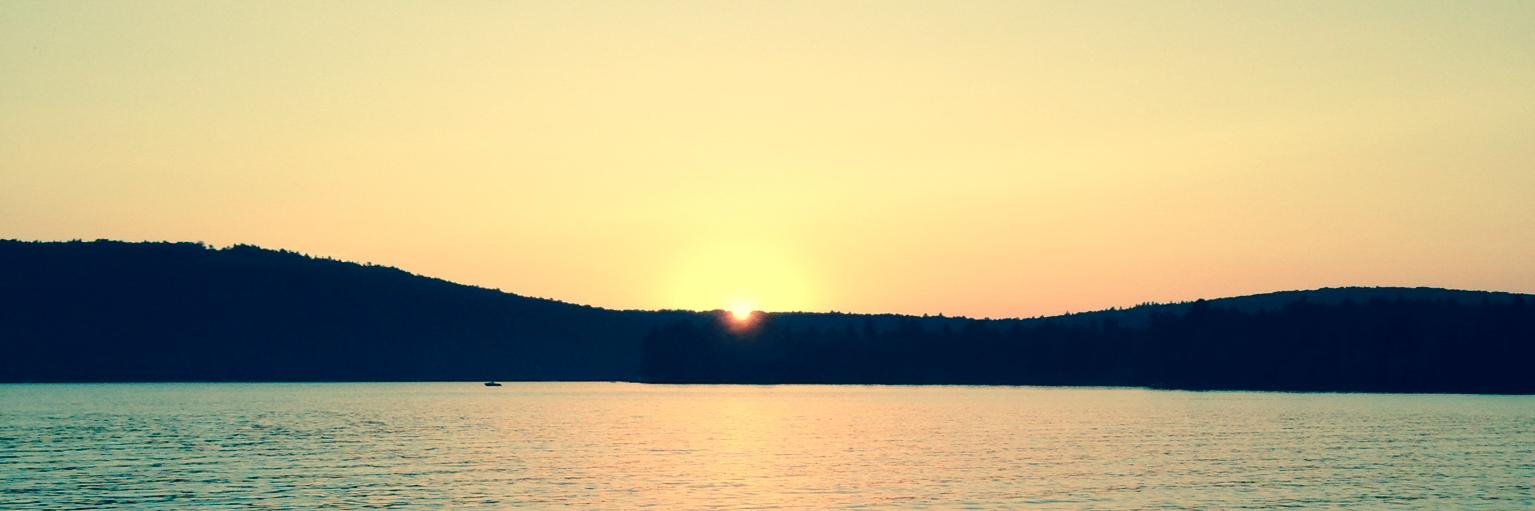 schlngu's profile banner image