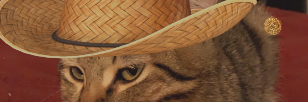 Its_chanelly's profile banner image