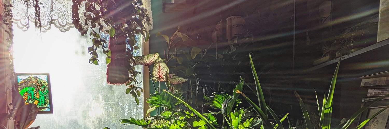 StonedRobinAB's profile banner image