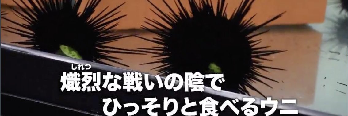 uninomanimani's profile banner image
