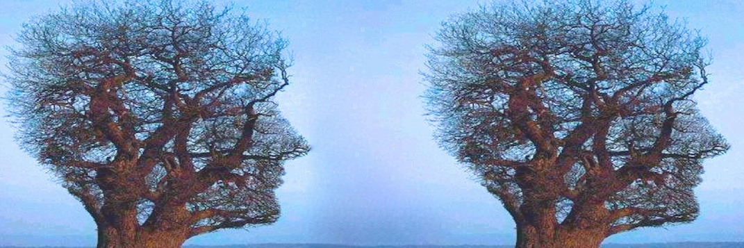 TOM GREENSLADE banner