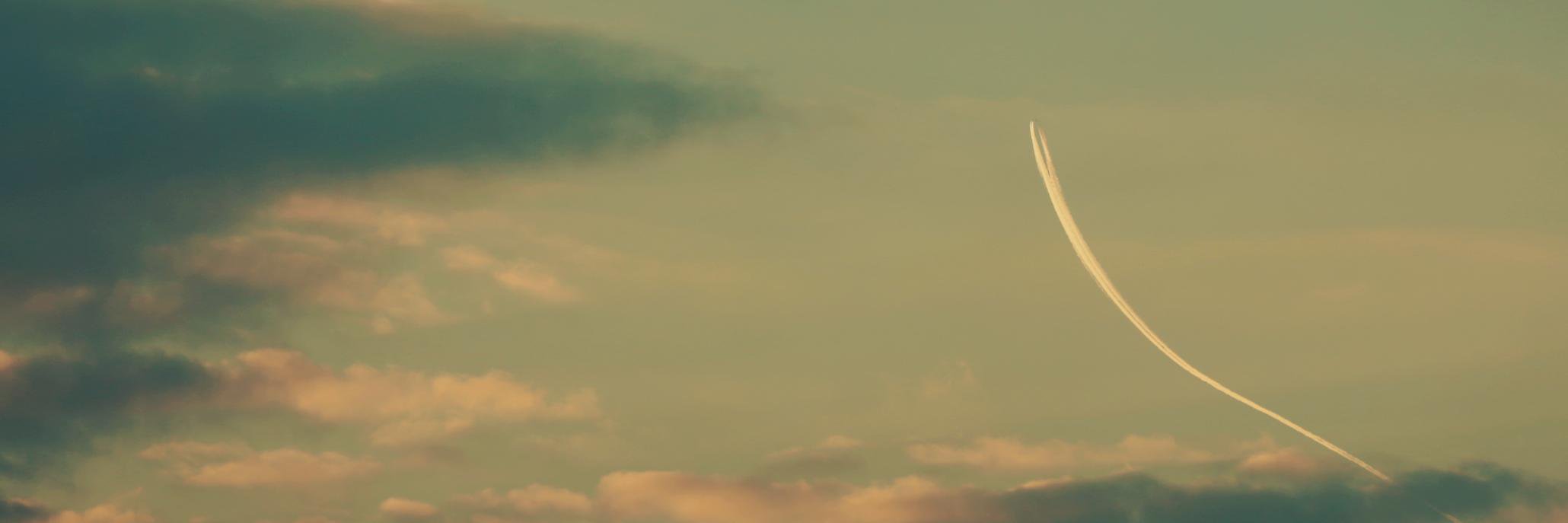 Crossing_zebra's profile banner image