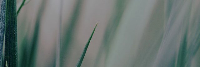 owlivr's profile banner image