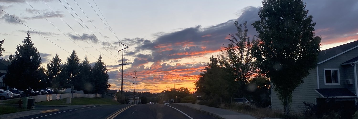 danicadavis71's profile banner image
