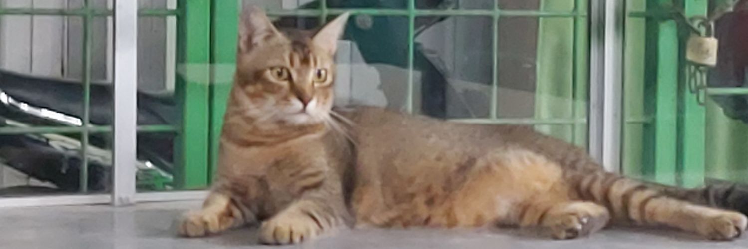 Twitzar7's profile banner image