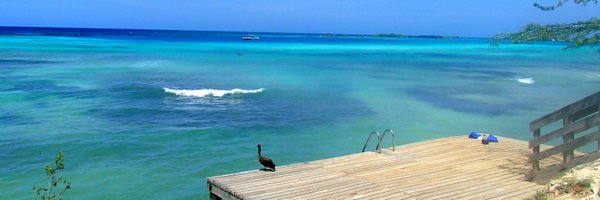 beckyraw2 Profile Banner