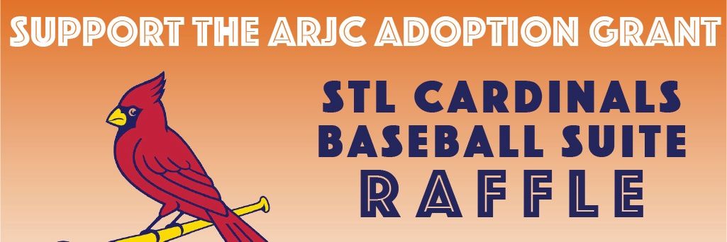 STLNFP's profile banner image