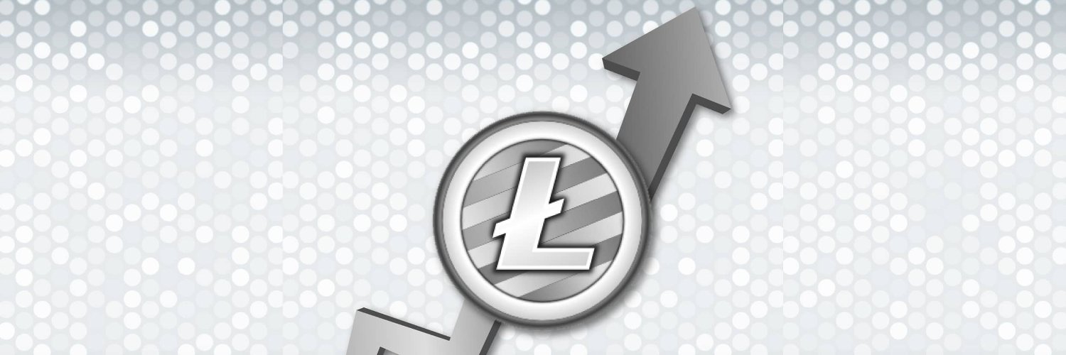 LiteCoinbonanza's profile banner image