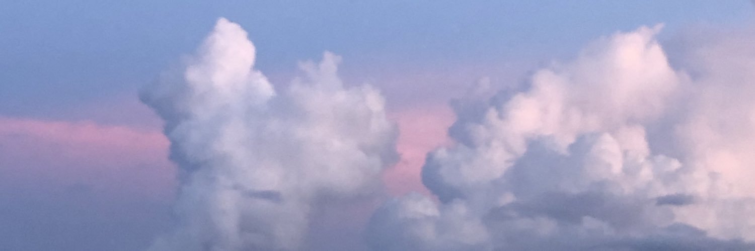 S T E F ⚡️ banner