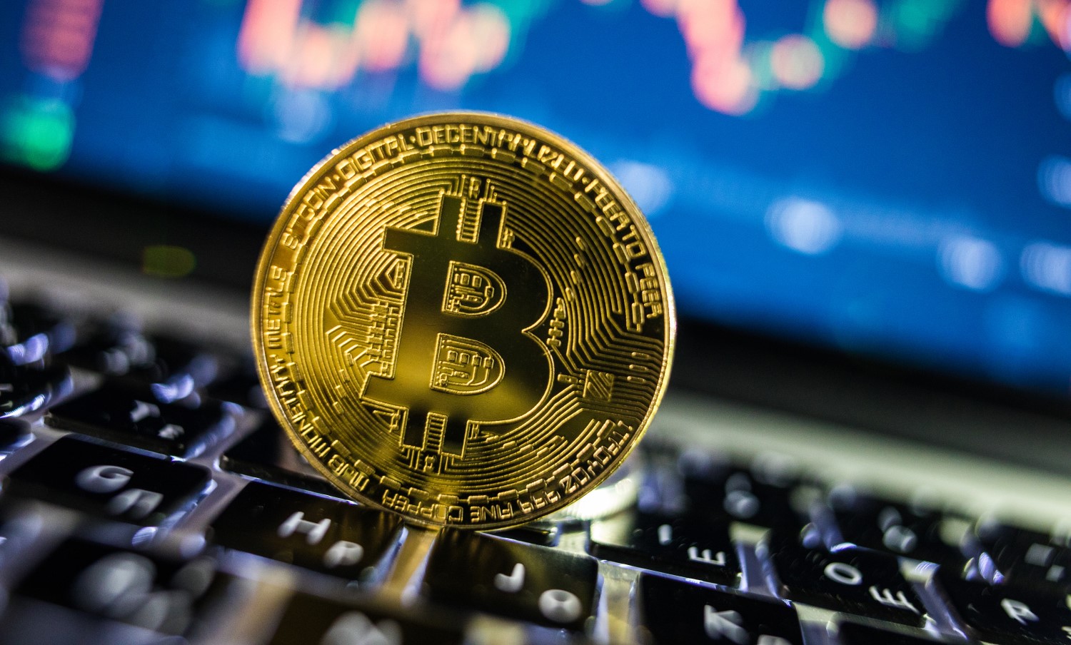 cryptomajstr's profile banner image