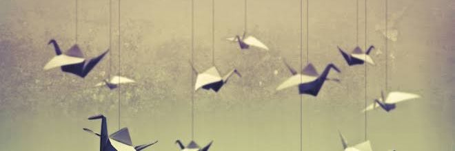 rosalba00_'s profile banner image